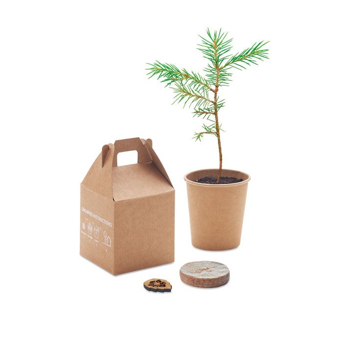 GROWTREE™. Set in legno di pino
