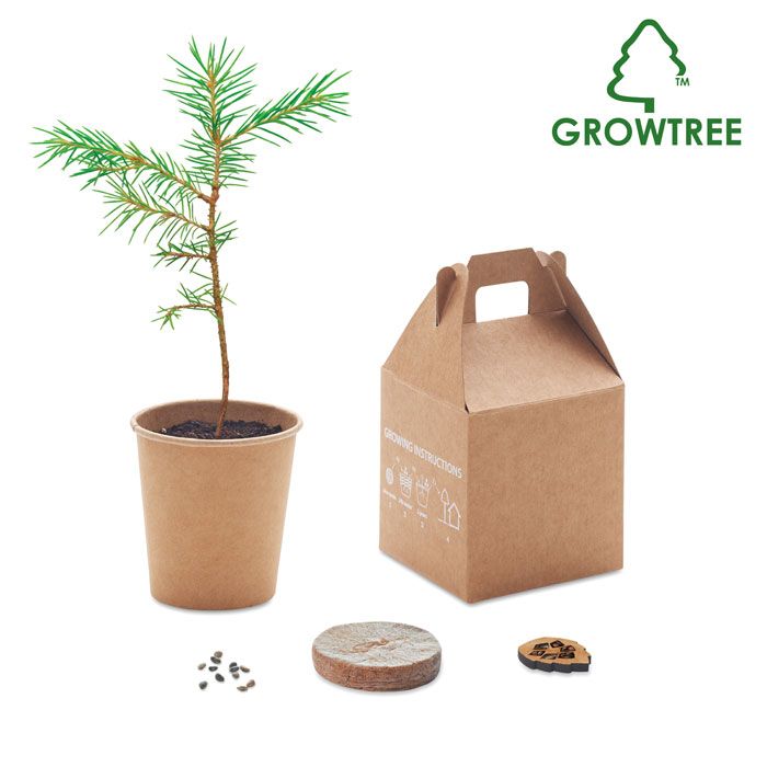 GROWTREE™. Set in legno di pino