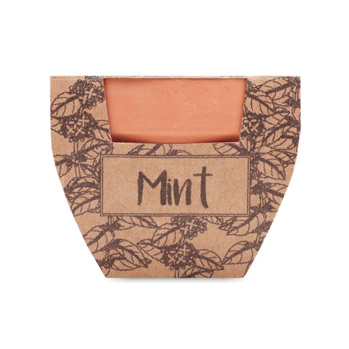 MINT POT. Semi di menta in vaso