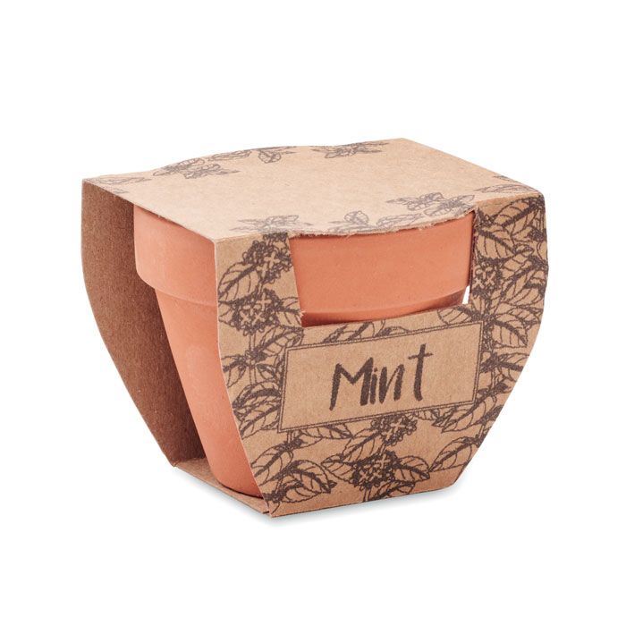 MINT POT. Semi di menta in vaso