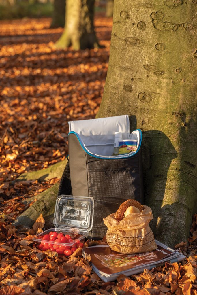 Explorer zaino frigo Outdoor