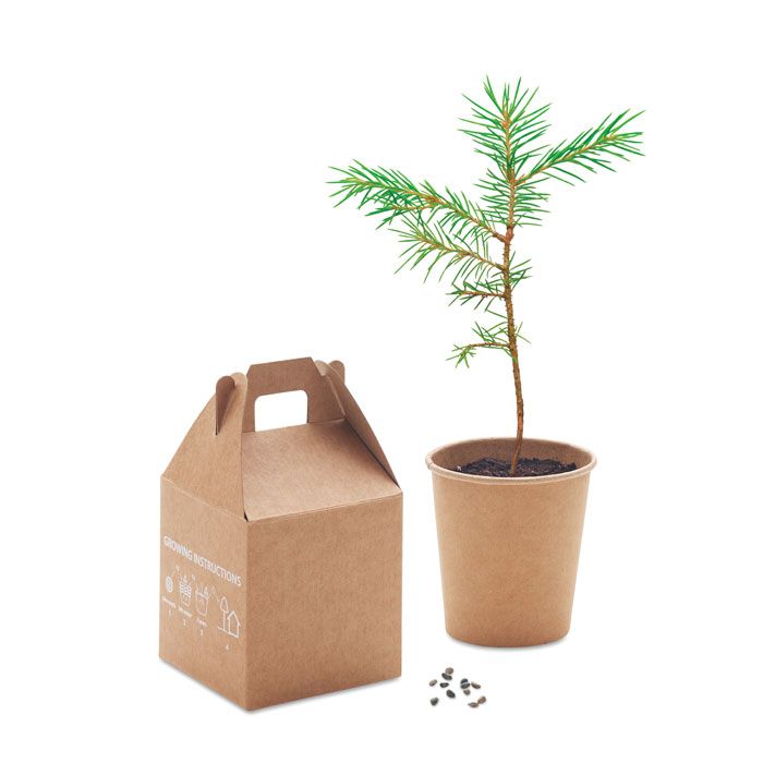 GROWTREE™. Set in legno di pino